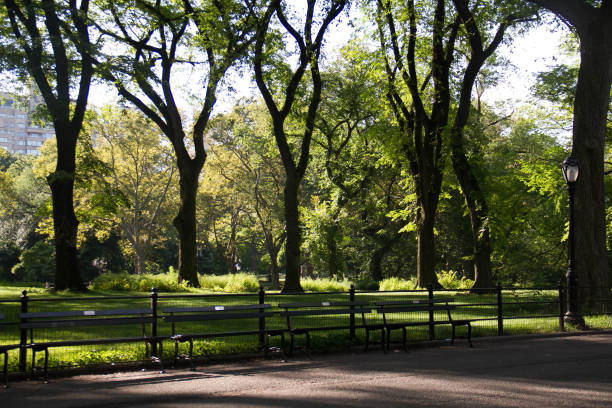 istock Park bench on the walkway at park in summertime 827843662