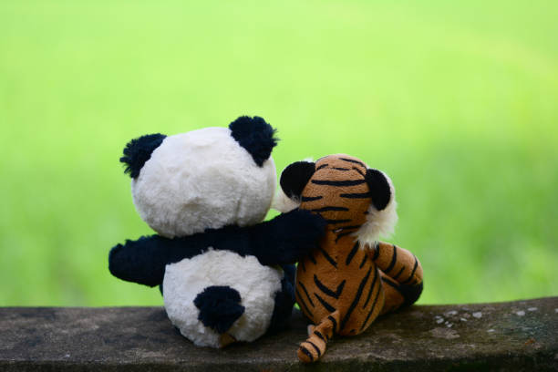 The chume, two dolls sitting and hug on wall