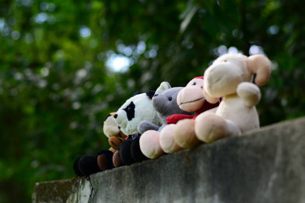 istock five dolls sitting on a old wall and wacthing something in morning 827848514