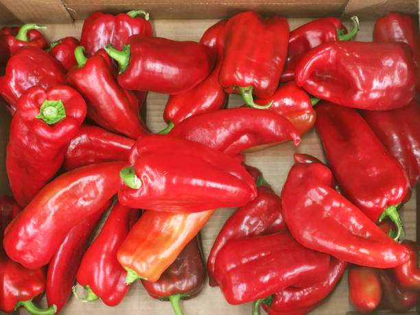 istock Fresh Red Pepper ready to sell 827849610