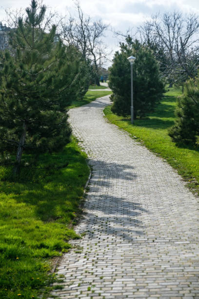 istock Pathway in a Peaceful Green Garden 827858086