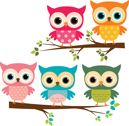 Vector Set of Cute Owls and Cartoon Branches