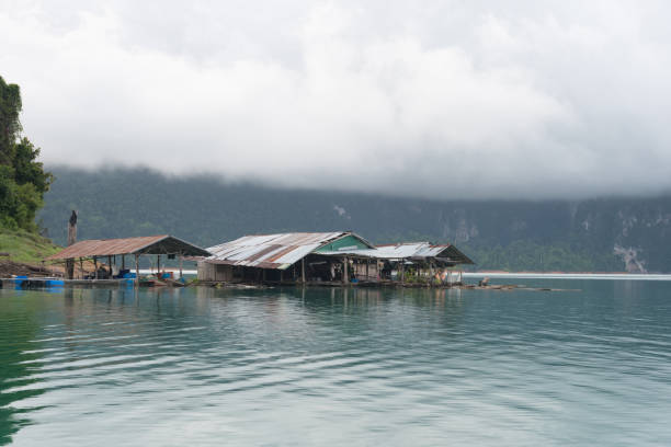 istock View at Ratchadapha Dam at Surat Thani 827870848