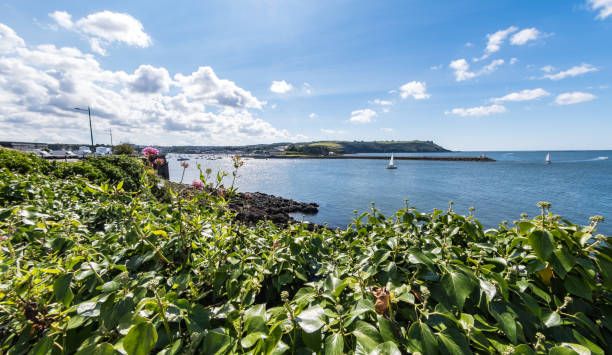 istock Coastline plants along Plymouth Sound Harbour 827888444