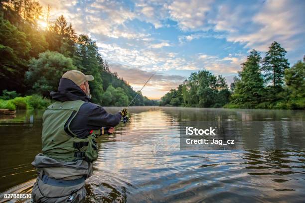 Photo libre de droit de Poissons De Pêche Pêcheur De Chasse Sportive Plein Air Pêche En Rivière banque d'images et plus d'images libres de droit de Pêche - Activité de plein air