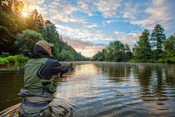 Sport fisherman hunting fish. Outdoor fishing in river Sport fisherman hunting predator fish. Outdoor fishing in river during sunrise. Hunting and hobby sport. Fishing stock pictures, royalty-free photos & images