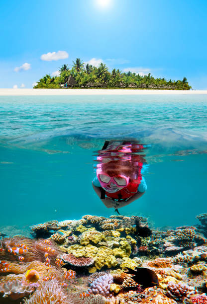 istock Snorkelling dive in tropical island resort 827891122