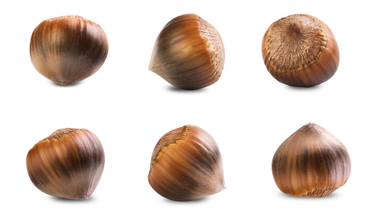 Six hazelnuts in a shell isolated on a white background