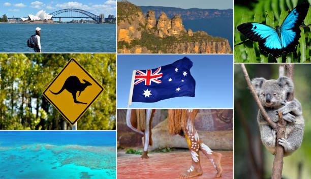 Travel Australia postcard Australian collage. Travel Australia postcard background. great barrier reef photos stock pictures, royalty-free photos & images