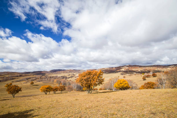 istock In autumn, trees on the hillside 827895064