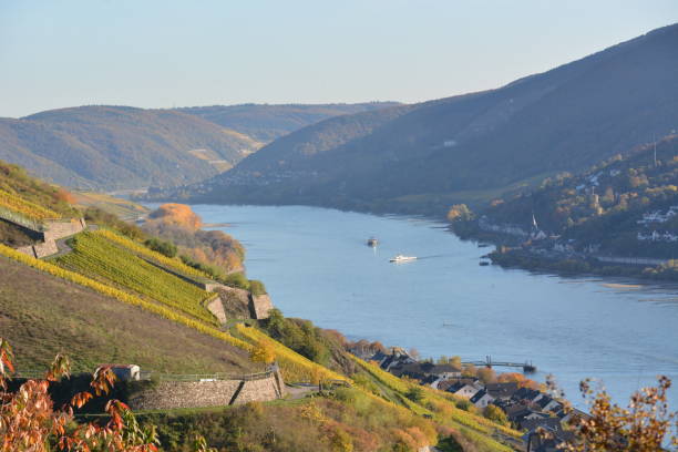 istock River rhine with golden leaves 827897776