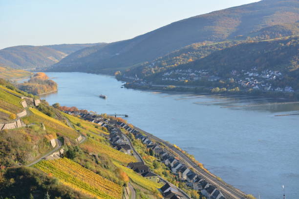 istock River rhine with golden leaves 827897822