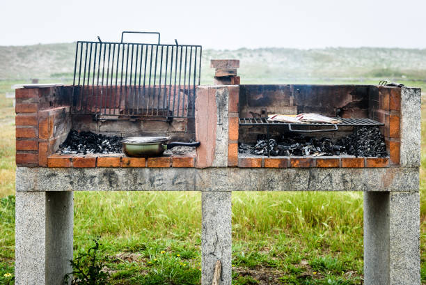istock Making fish on a bbq barbecue grill over hot coal. 827904972