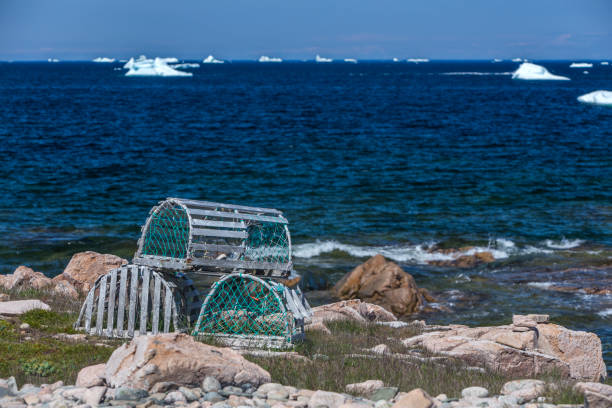istock lobster traps on Newfoundland coast 827906368