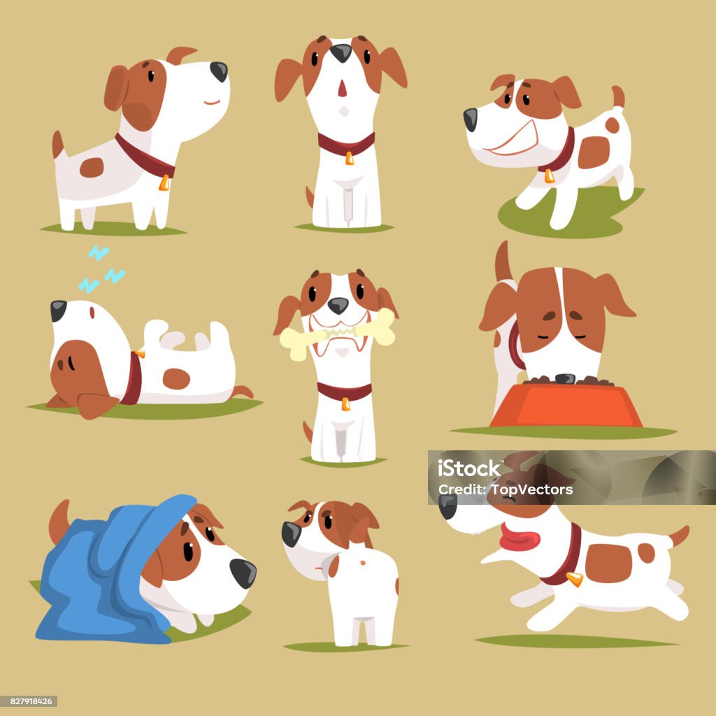 Funny Puppy Daily Routine Set Cute Little Dog In His Evereday Activity  Colorful Character Stock Illustration - Download Image Now - iStock
