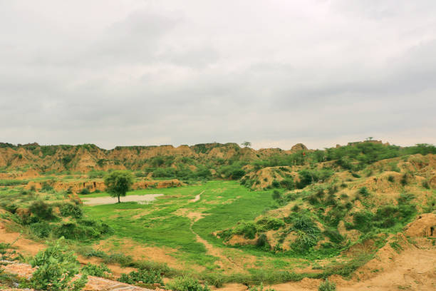 istock Chambal Valley, Morena 827928964
