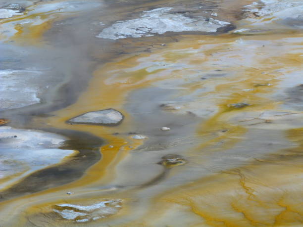 istock Yellowstone National Park 827933318