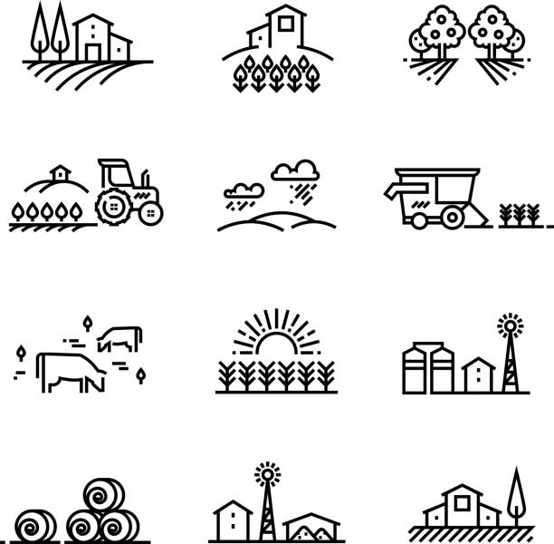 illustrazioni stock, clip art, cartoni animati e icone di tendenza di paesaggi di linea del villaggio con campi agricoli ed edifici agricoli. concetti vettoriali di agricoltura lineare - messi