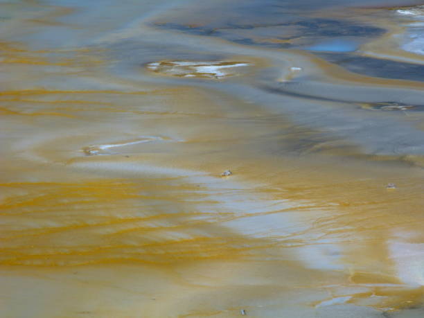 istock Yellowstone National Park 827934210