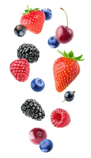 Photo of Isolated various berries