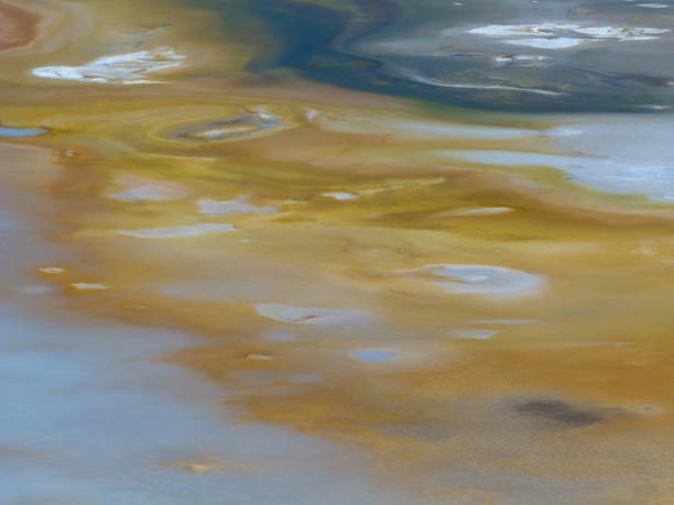 istock Yellowstone National Park 827938330