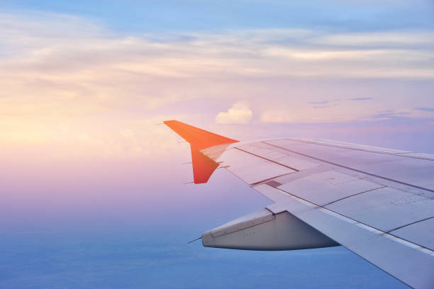 istock Image plane of the wing 827941650