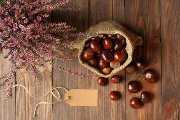 heathers em potes de cerâmica, castanhas em saco de juta e tag no fundo das placas de madeira escuras - heath ceramics - fotografias e filmes do acervo