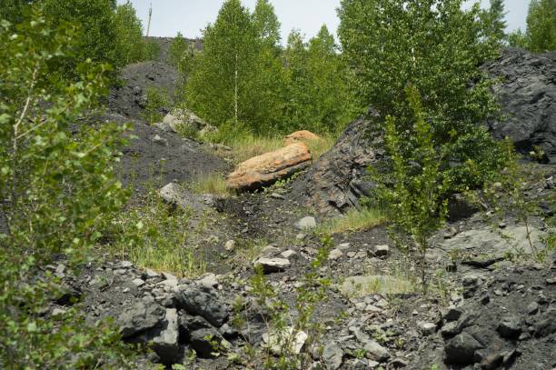 Abandoned quarry for coal mining in the Kemerovo region stock photo
