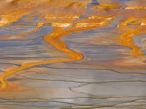 istock Yellowstone National Park 827951082