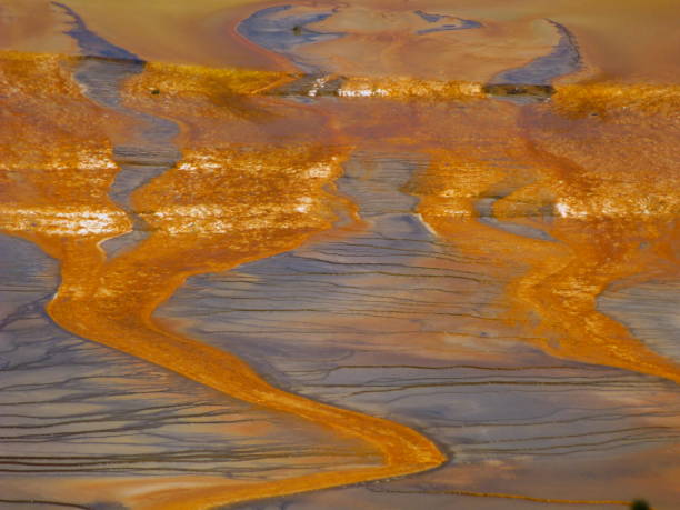 istock Yellowstone National Park 827951280