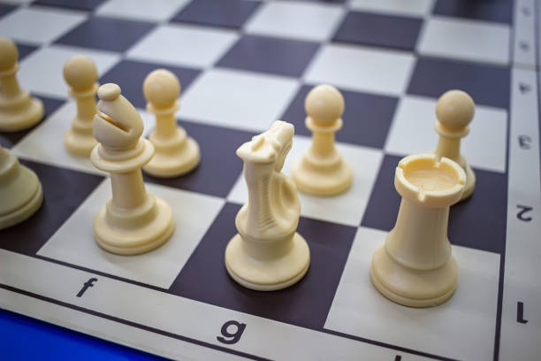 istock White chess pieces on chessboard, close up view 827951314
