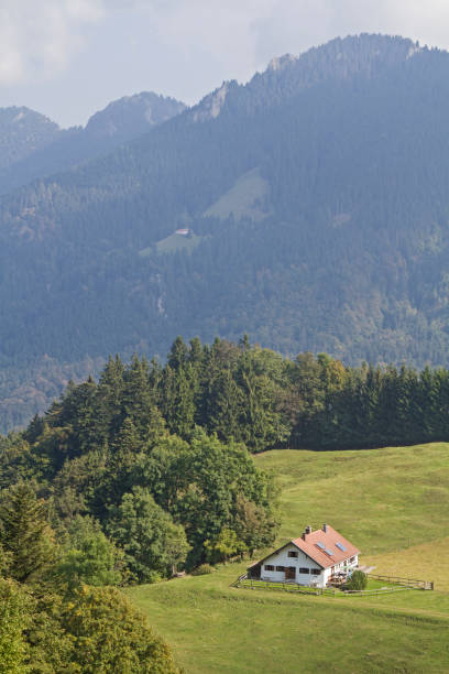 istock Daffnerwaldalm in Chiemgau Alps 827957774