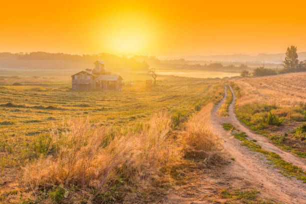 wschód słońca w wiejskiej w korei wsi. anseong pola uprawne korea południowa - netherlands windmill farm farmhouse zdjęcia i obrazy z banku zdjęć