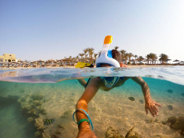 snorkel nado en aguas poco profundas con peces, mar rojo, egipto - horizon over water environment vacations nature fotografías e imágenes de stock