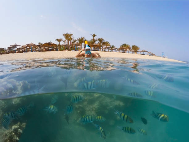 istock Underwater surface split view of coral fish and resort beach with parasol 827963288