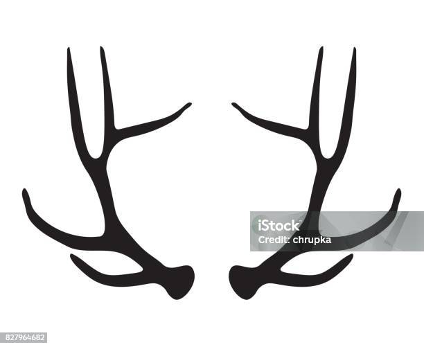 Black Silhouette Of Deer Antlers Stock Illustration - Download Image Now - Elk, In Silhouette, Moose