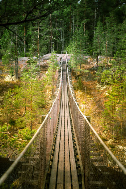 istock A beautiful hanging bridge in forest of Finland 827968262