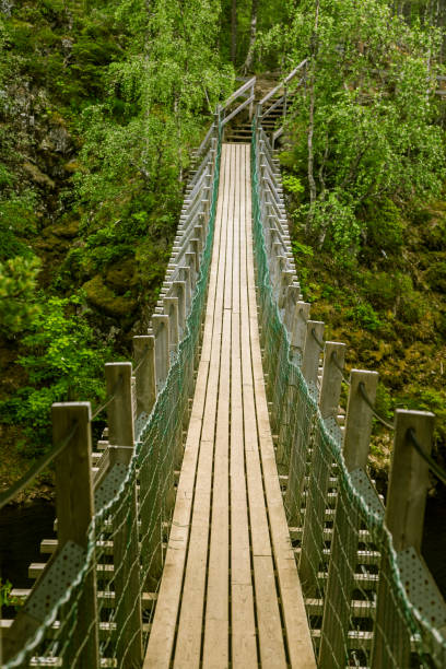 istock A beautiful hanging bridge in forest of Finland 827968264