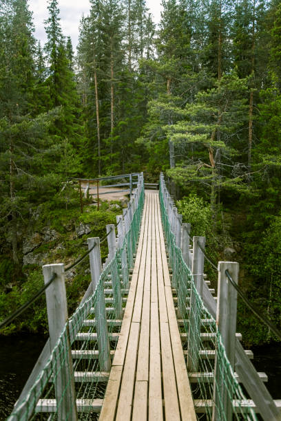 istock A beautiful hanging bridge in forest of Finland 827968460