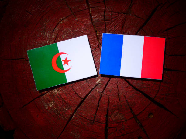 Algerian flag with French flag on a tree stump isolated stock photo