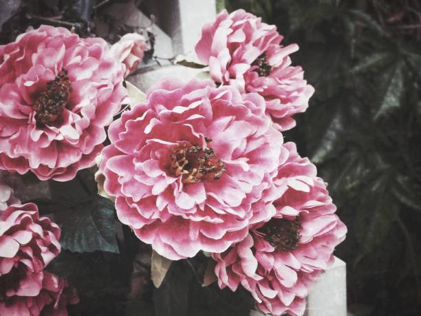istock Beautiful of artificial flowers 827971718