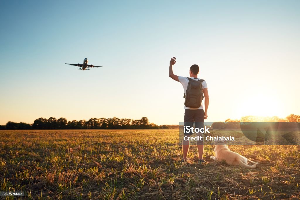 Saying hello at the sunset Saying hello at the sunset. Young man with his dog on the evening walk along the airport. Airplane Stock Photo