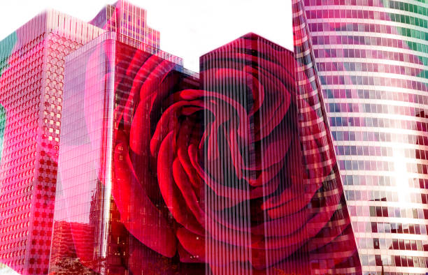 beautiful cityscape with skyscrapers and red rose flower pattern