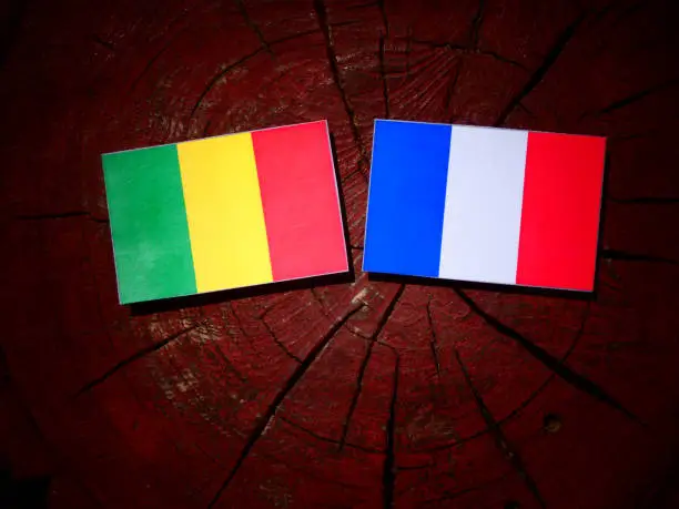 Photo of Malian flag with French flag on a tree stump isolated