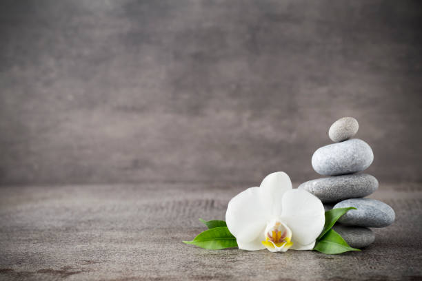 istock White orchid and spa stones on the grey background. 827982104