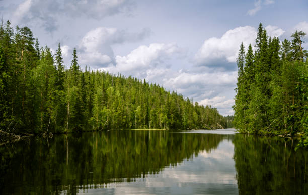 istock A beautiful lake landscape in Finland 827982176