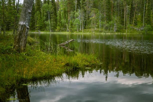istock A beautiful lake landscape in Finland 827982346