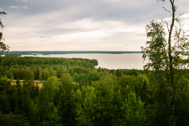 A beautiful Finnish forest landscape