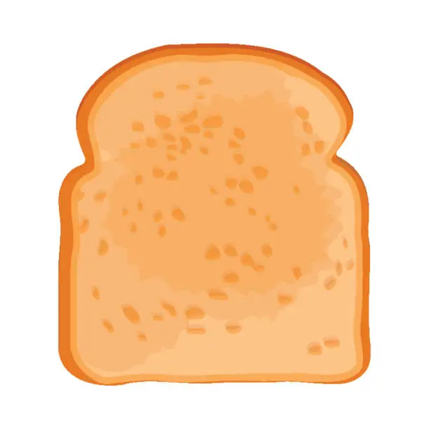 Vector illustration of Closeup of slice of bread isolated illustration on white