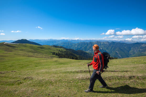 istock Man adventurer goes along alpine meadow 827984138